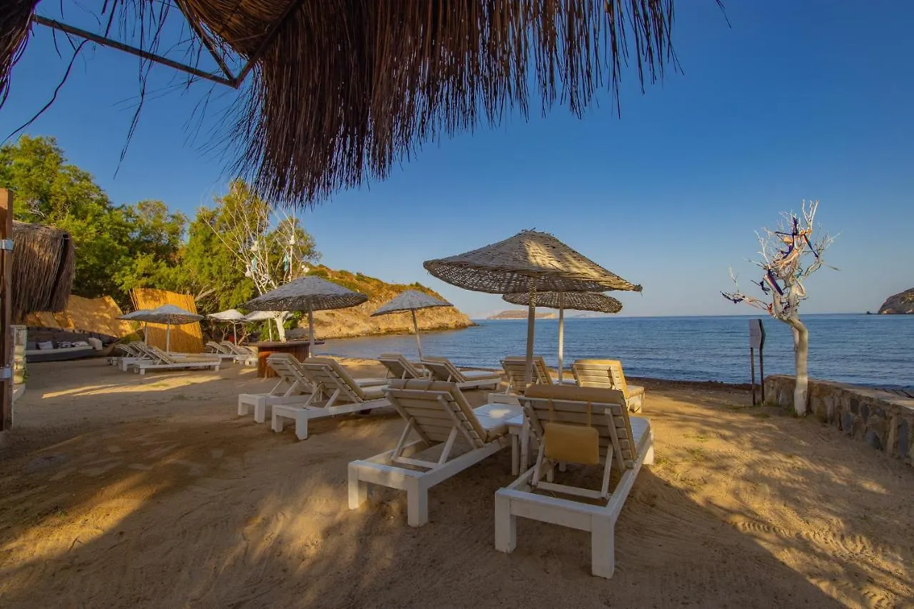 Ladonia Hotels Zemda Guemuesluek 0*, Гюмюшлюк Турция