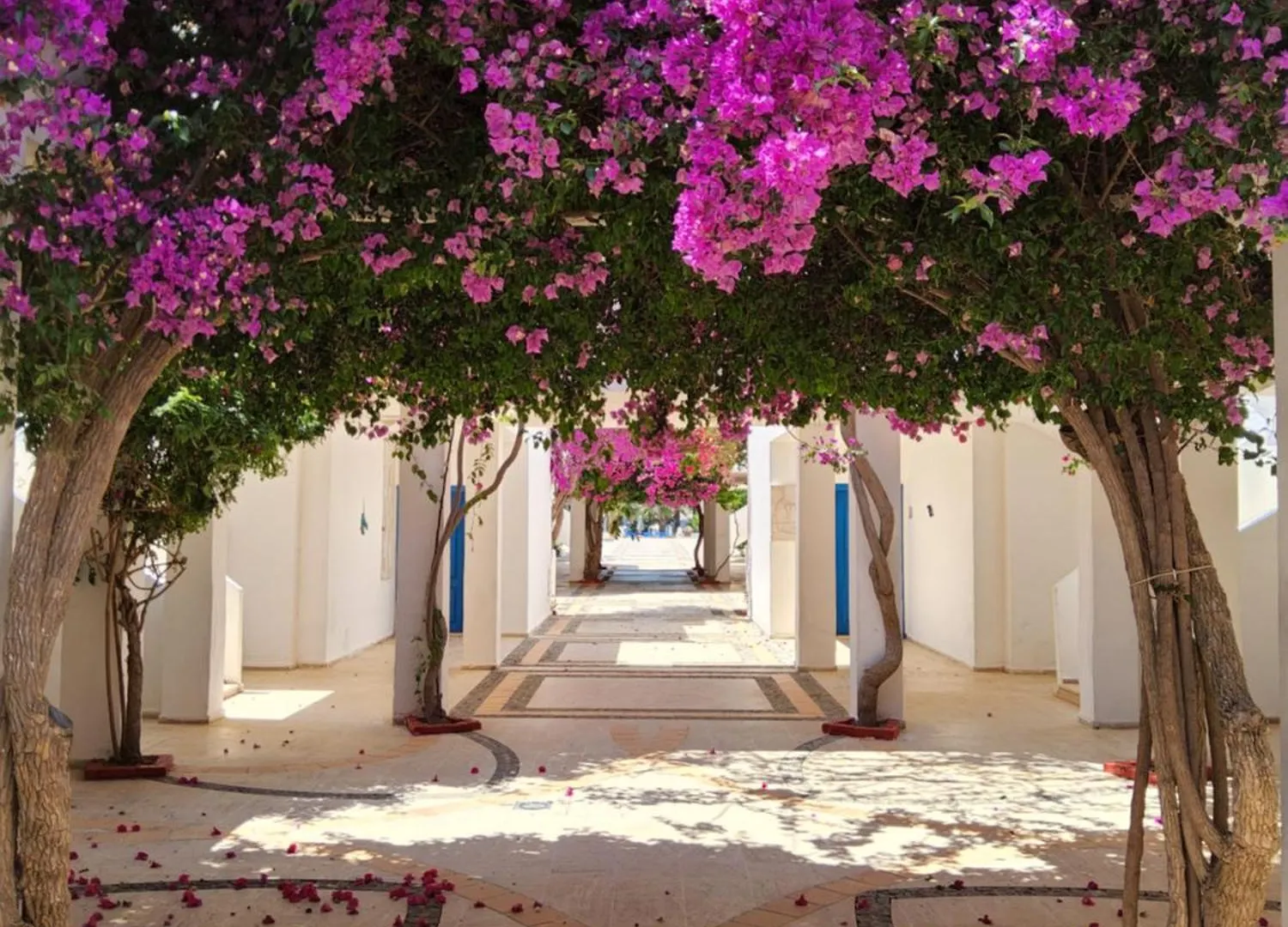 Ladonia Hotels Zemda Guemuesluek Turquía