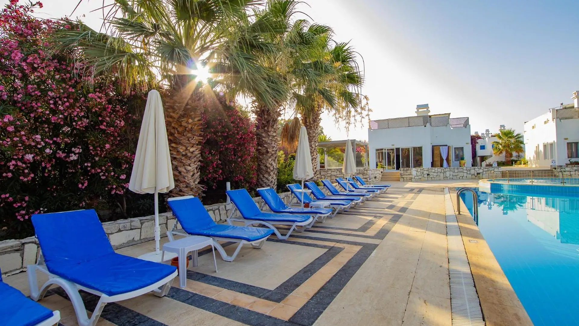 Ladonia Hotels Zemda Guemuesluek Турция